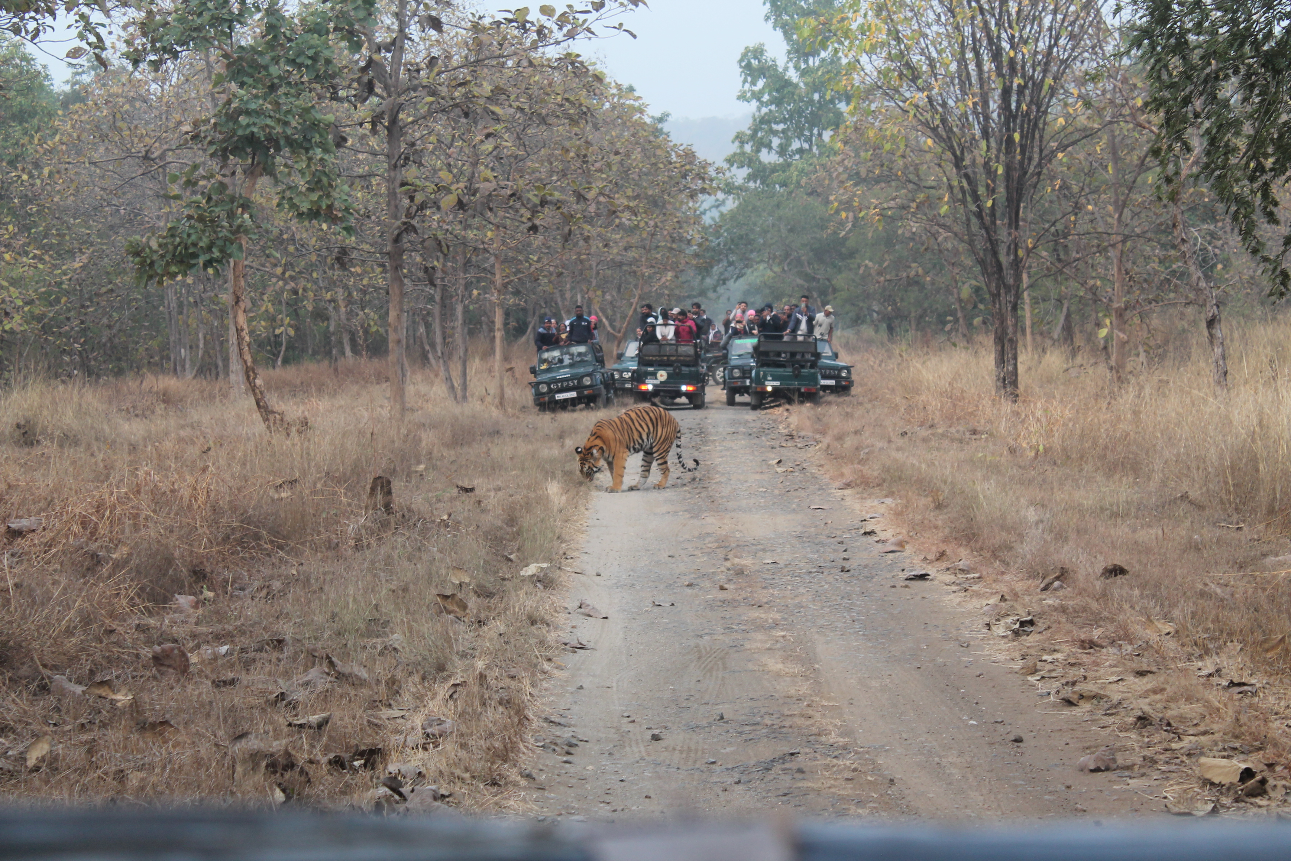 Trip to Tipeshwar Wildlife Sanctuary